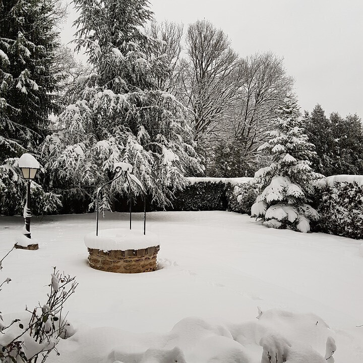 Comment Prot Ger Son Jardin Du Froid