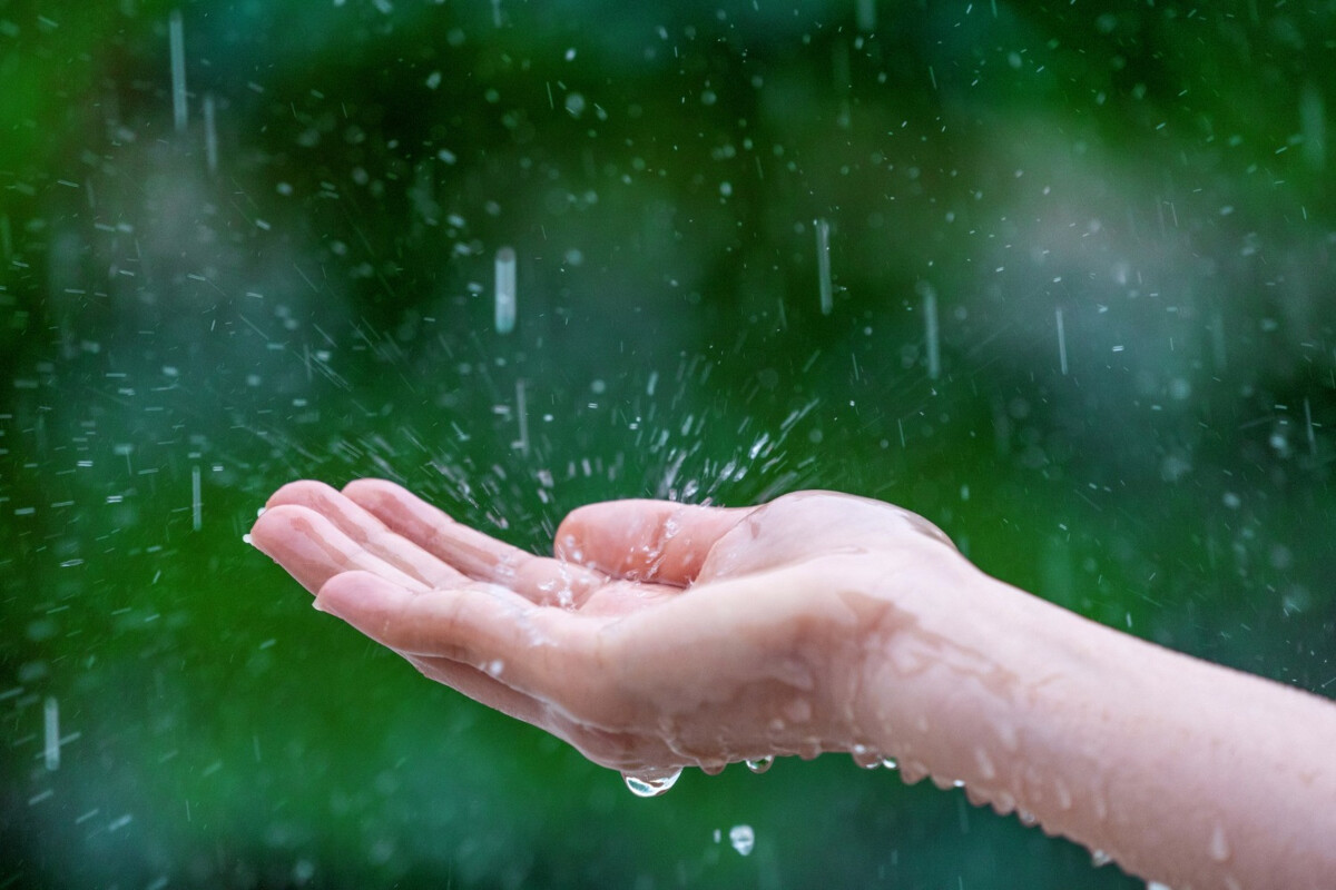 La récupération d’eau de pluie : une pratique écologique réglementée