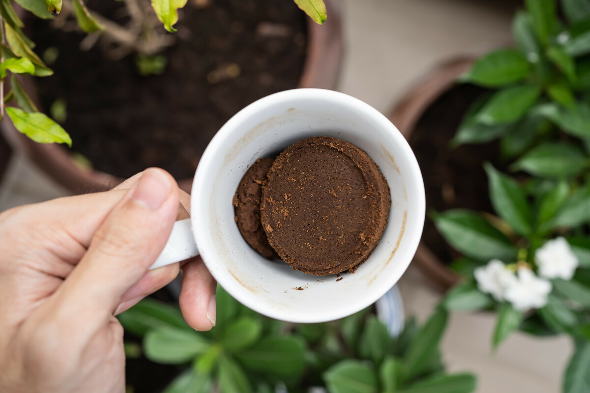 9 astuces pour recycler le marc de café pour le corps, la maison et le jardin